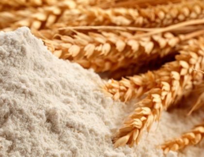 Wheat Flour Milling Angola – Moagem de farinha de trigo y farelo 